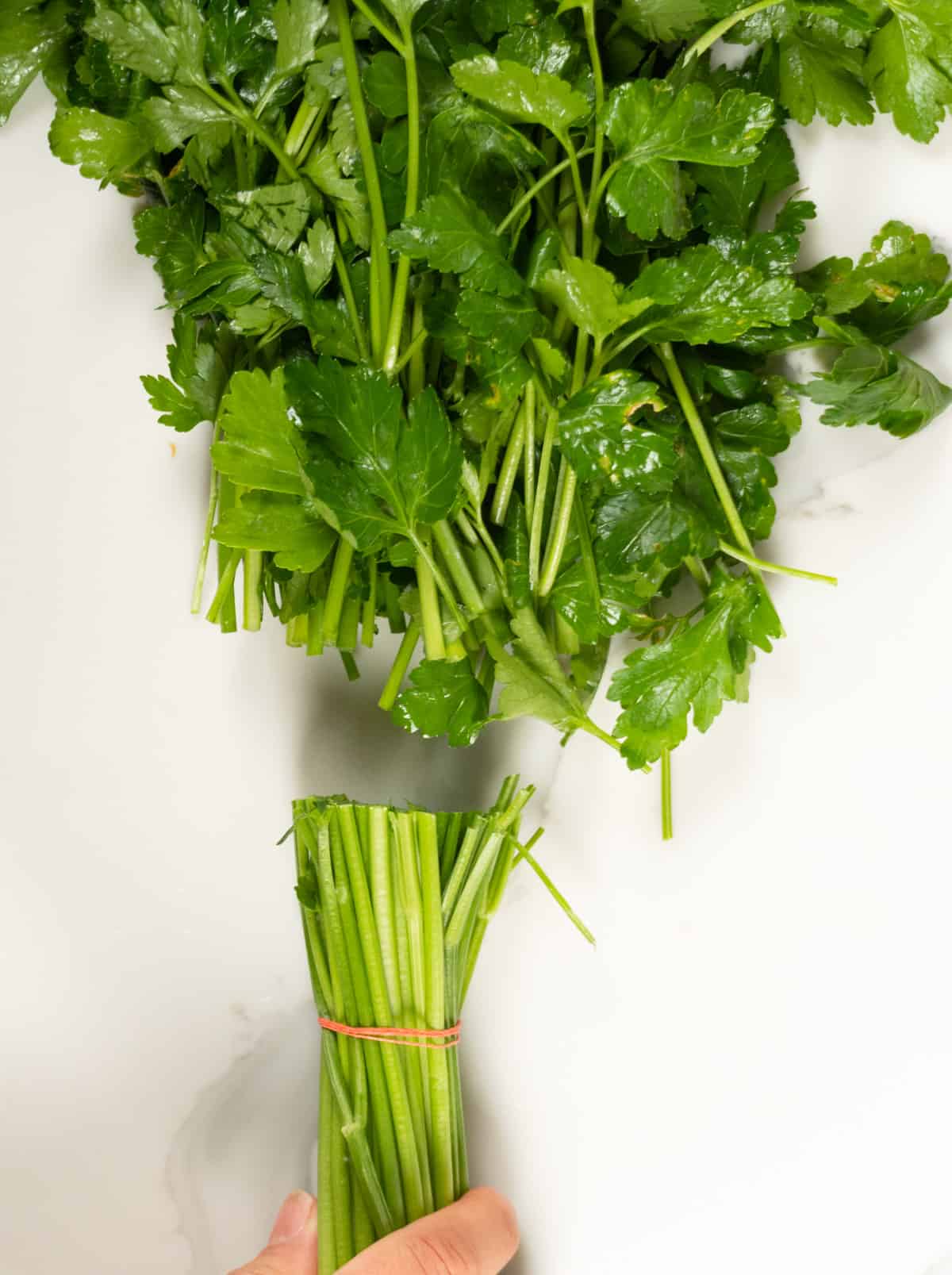 a bunch of parsley with stems chopped off