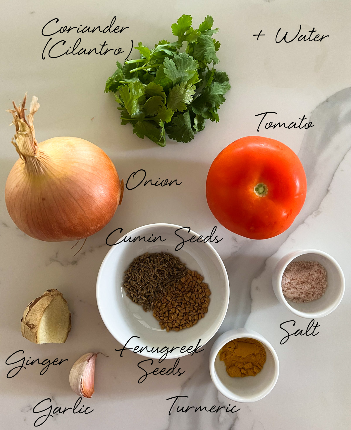 coriander, tomato, onion, ginger, garlic, salt in bowls