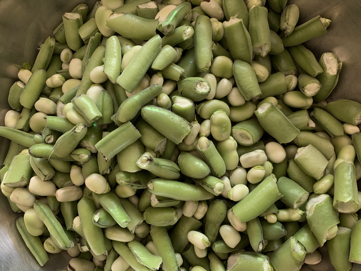 Green Broad beans cut up
