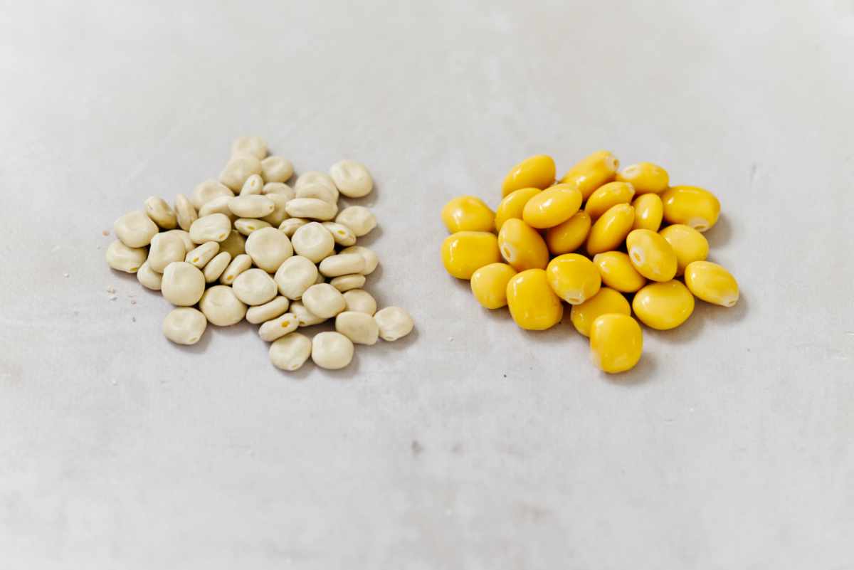 Dry Lupini Beans vs Cooked Lupini Beans on a bench