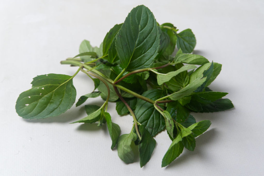 Fresh Herbal Tea (A List of 12 Herbs)