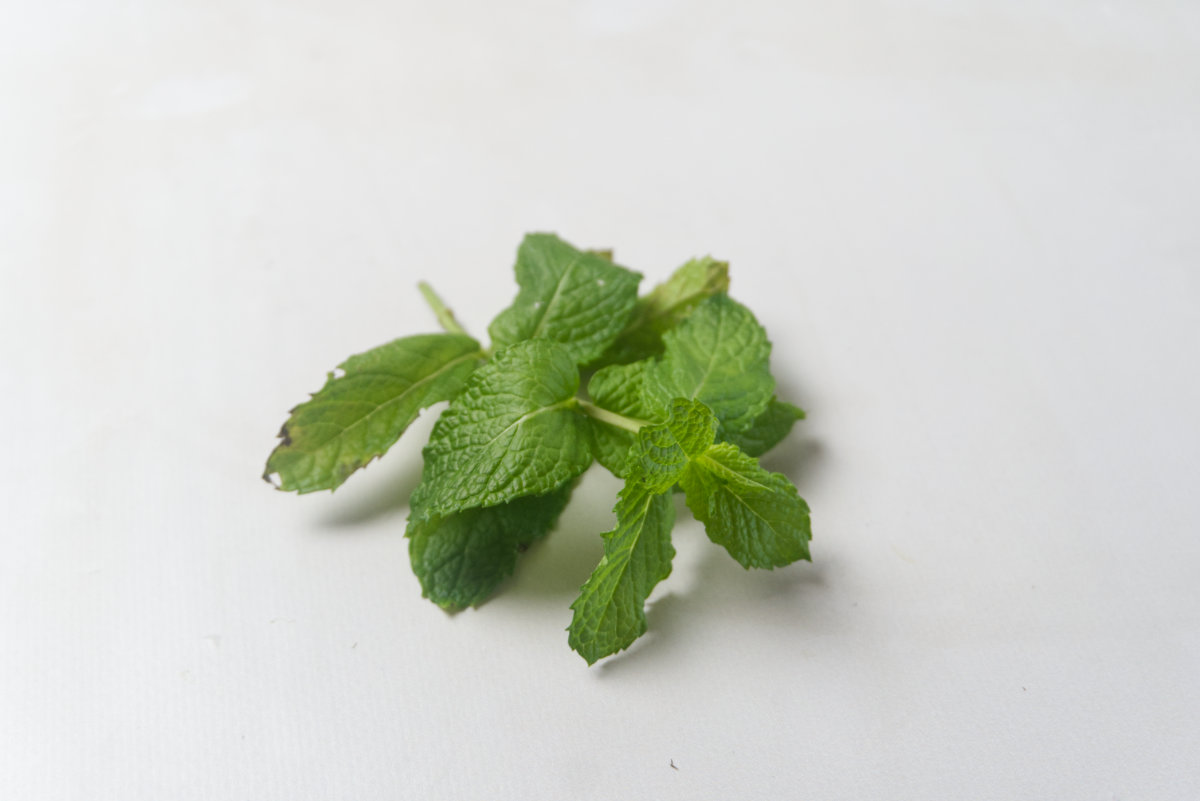 fresh mint leaves