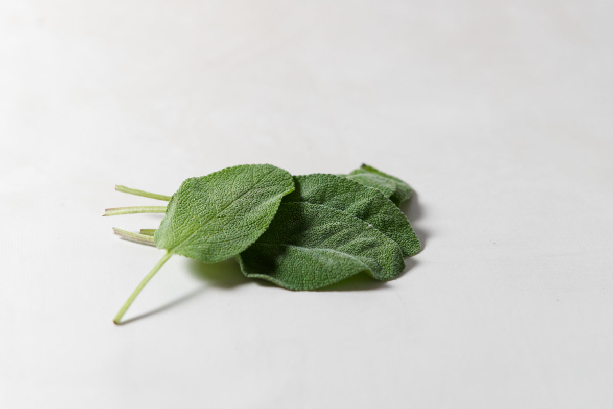 fresh sage leaves