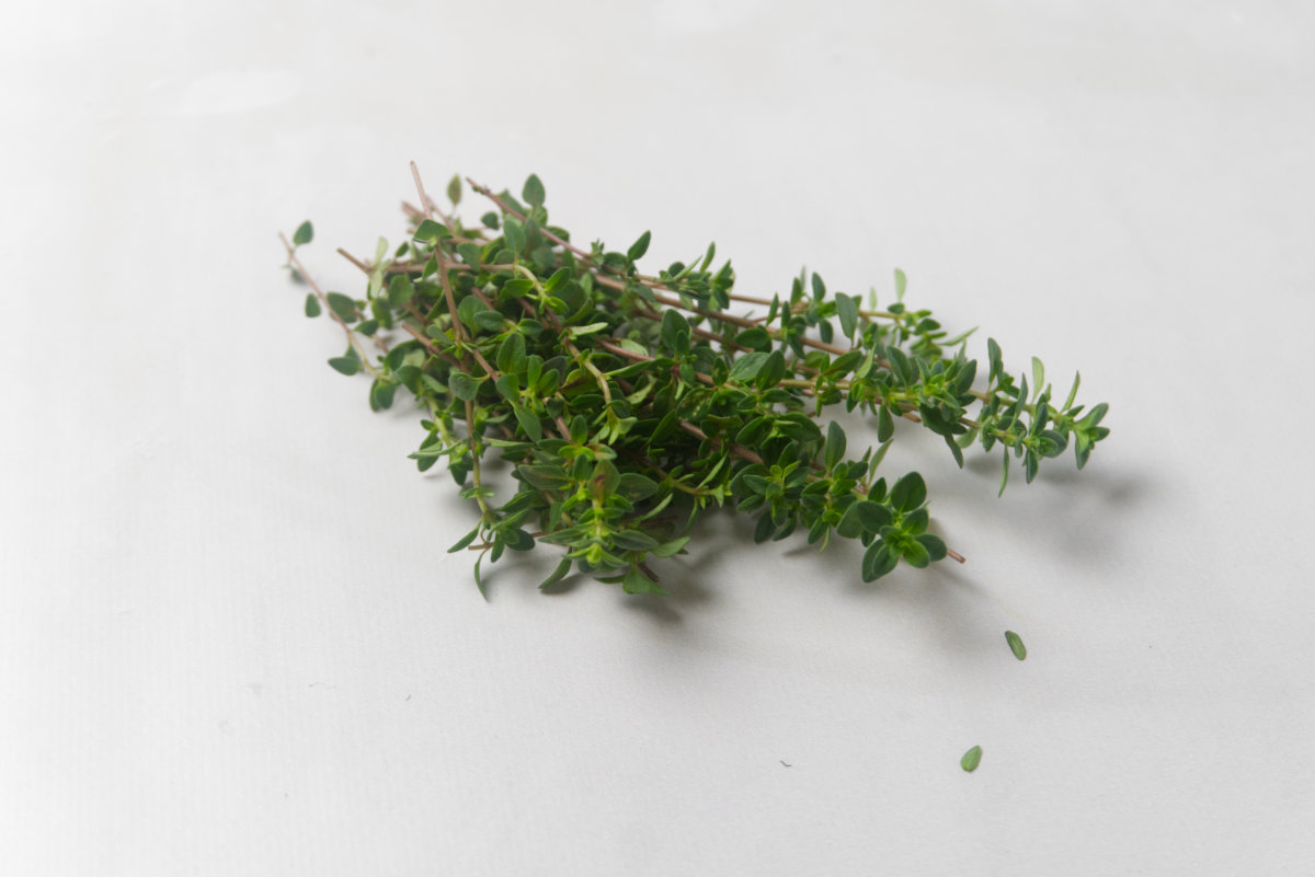 thyme tea benefits for men