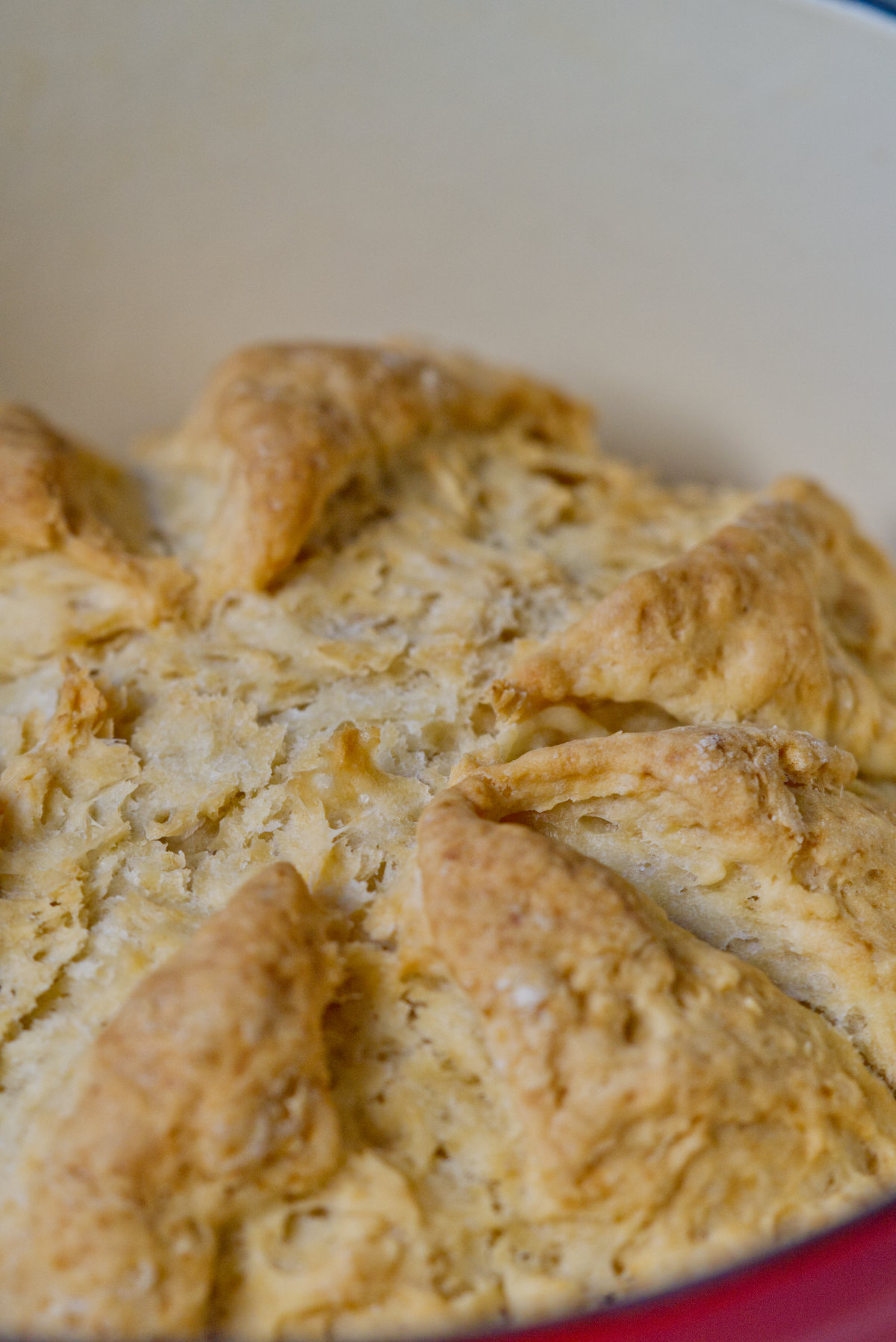 close up of the top of the damper bread