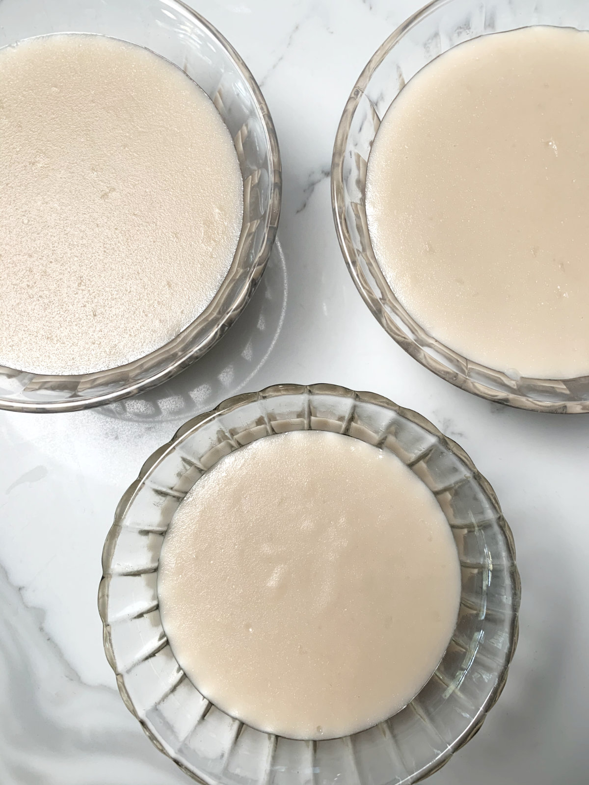 lebanese vegan milk pudding muhalabia before garnish
