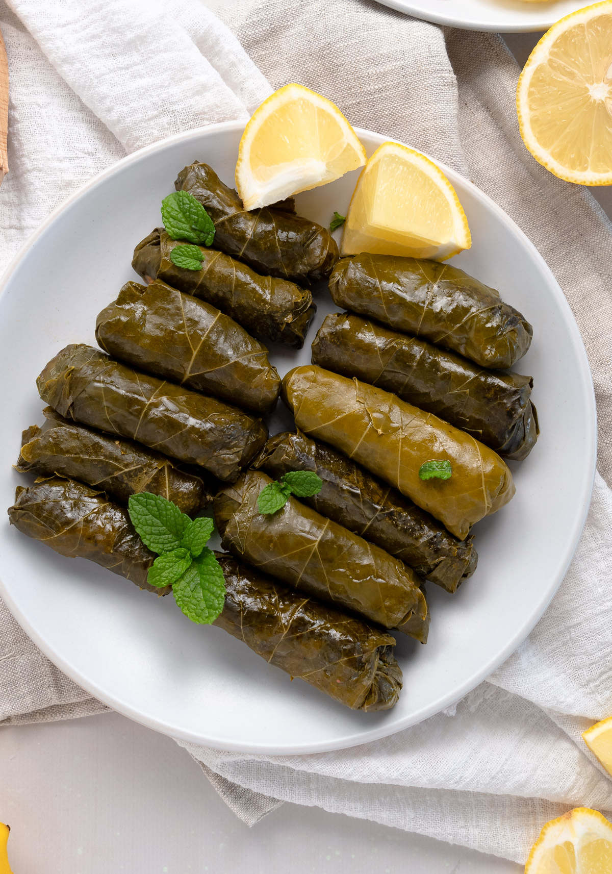 12 stuffed grape leaves in a white plate with a couple of lemon slices