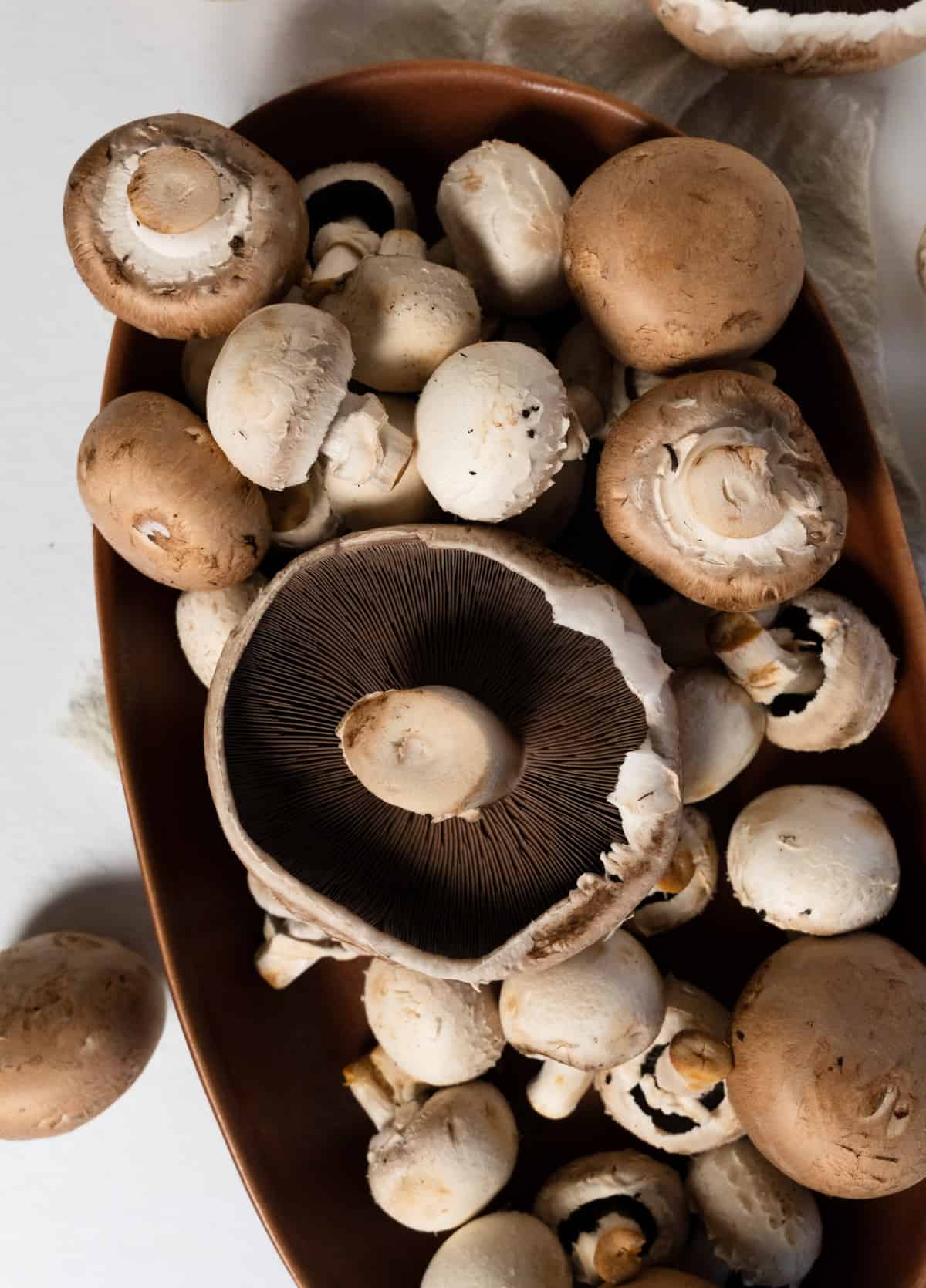 white and brown mushrooms in a bowl