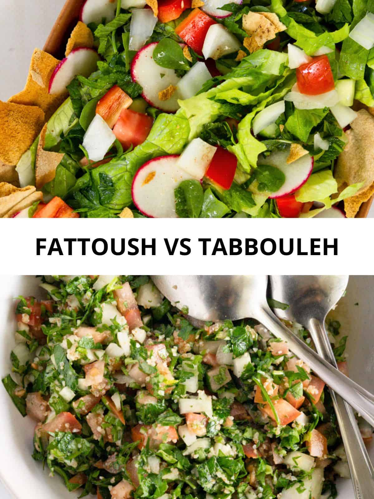 two salads, one is chunky and the other is finely chopped