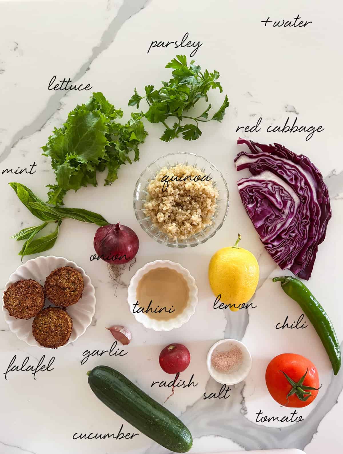 falafel balls, tahini, salt and veggies laid out