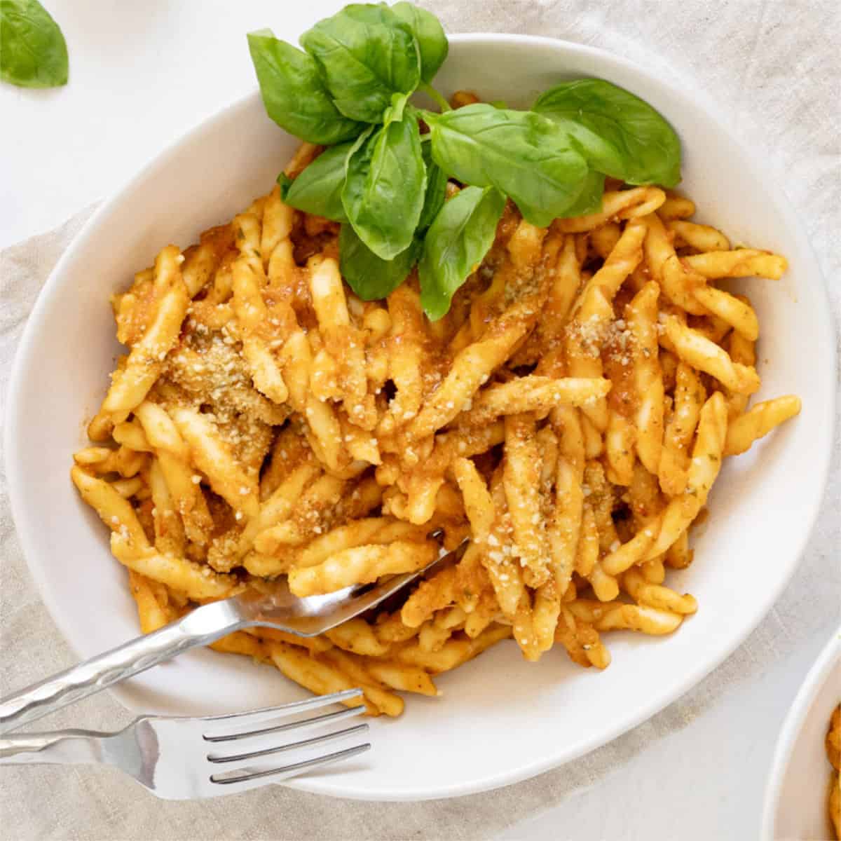 Vegetable Pasta Sauce