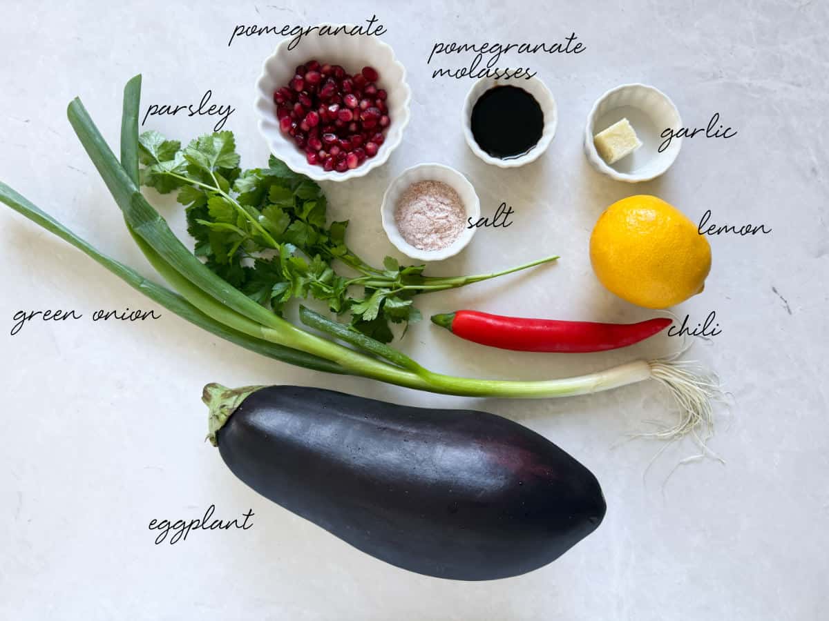 eggplant, liquids, lemon, green onion, pomegranate arils, chili and salt laid out